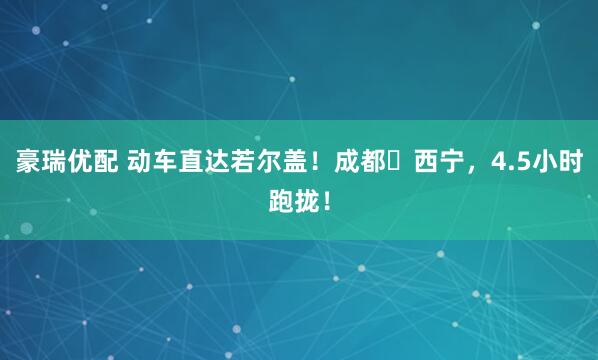 豪瑞优配 动车直达若尔盖！成都⇄西宁，4.5小时跑拢！