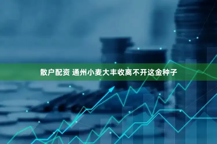 散户配资 通州小麦大丰收离不开这金种子
