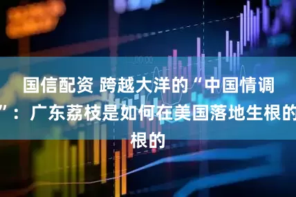 国信配资 跨越大洋的“中国情调”：广东荔枝是如何在美国落地生根的