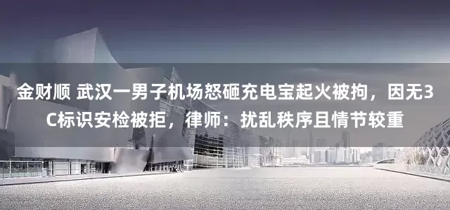 金财顺 武汉一男子机场怒砸充电宝起火被拘，因无3C标识安检被拒，律师：扰乱秩序且情节较重