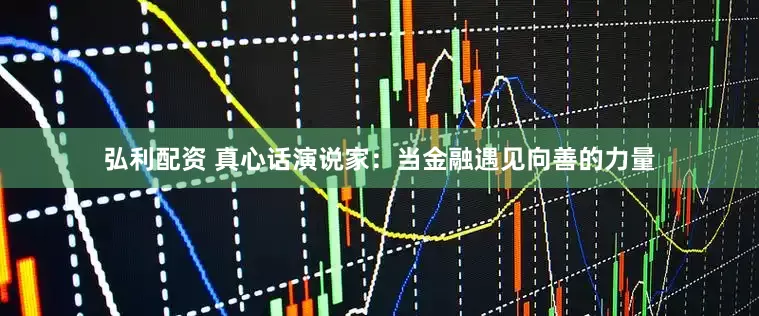 弘利配资 真心话演说家：当金融遇见向善的力量