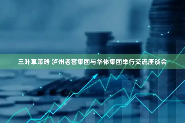 三叶草策略 泸州老窖集团与华体集团举行交流座谈会