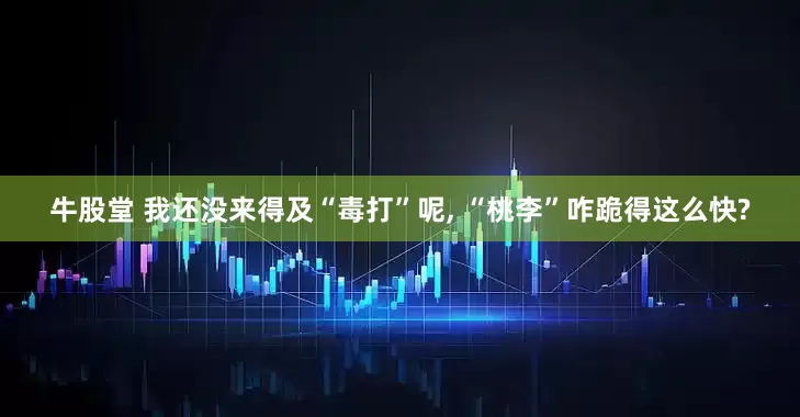牛股堂 我还没来得及“毒打”呢, “桃李”咋跪得这么快?