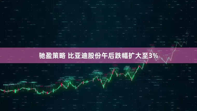 驰盈策略 比亚迪股份午后跌幅扩大至3%