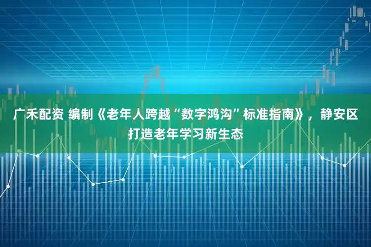 广禾配资 编制《老年人跨越“数字鸿沟”标准指南》，静安区打造老年学习新生态