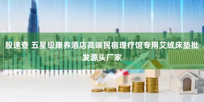 股速查 五星级康养酒店高端民宿理疗馆专用艾绒床垫批发源头厂家