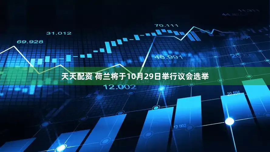 天天配资 荷兰将于10月29日举行议会选举