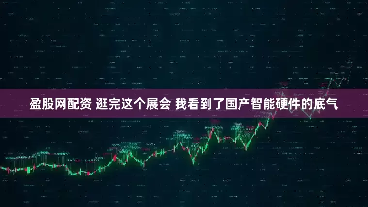 盈股网配资 逛完这个展会 我看到了国产智能硬件的底气