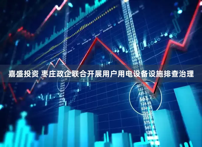 嘉盛投资 枣庄政企联合开展用户用电设备设施排查治理