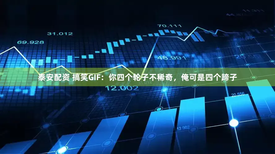 泰安配资 搞笑GIF：你四个轮子不稀奇，俺可是四个蹄子