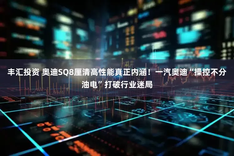 丰汇投资 奥迪SQ8厘清高性能真正内涵！一汽奥迪“操控不分油电”打破行业迷局