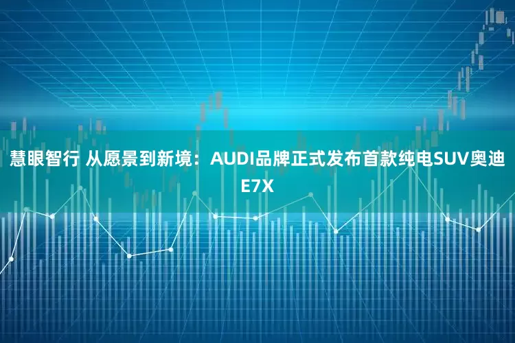 慧眼智行 从愿景到新境：AUDI品牌正式发布首款纯电SUV奥迪E7X